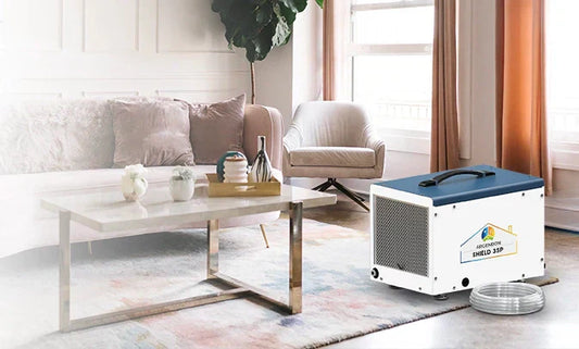 Here’s Why You Should Get a Portable Dehumidifier This Summer 2025