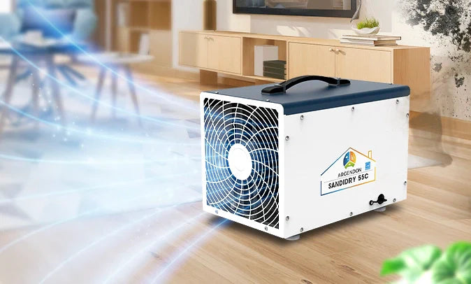 How to Choose the Right Dehumidifier for Mold, According to Experts