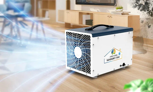 How to Choose the Right Dehumidifier for Mold, According to Experts