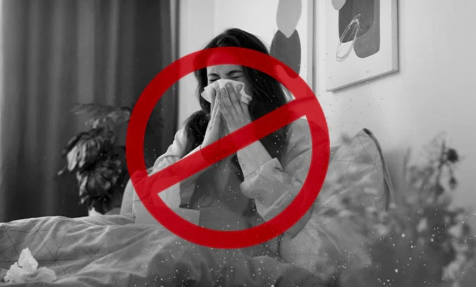 The Hidden Role of Humidity Behind Your Allergies—and How to Stop It for Good