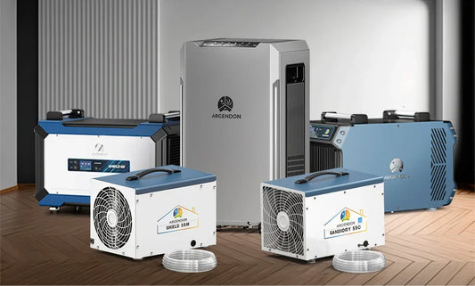 5 Best Crawl Space Dehumidifier Options for Your Home