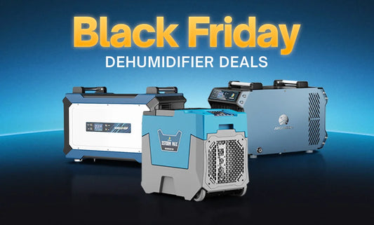 Argendon’s Best Black Friday Dehumidifier Deals 2025
