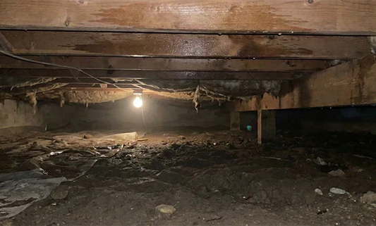 At What Humidity Does Mold Grow in Crawl Space?