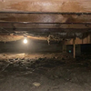 At What Humidity Does Mold Grow in Crawl Space?
