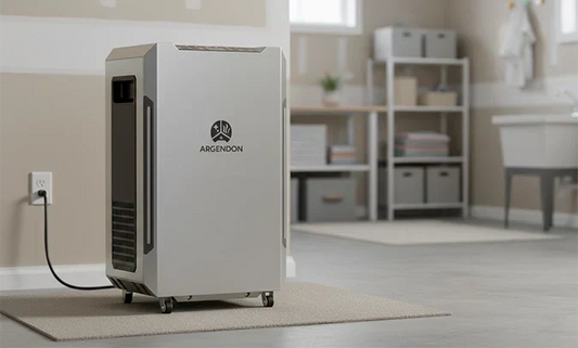 Best Dehumidifier 2025 Review: The Top Choices for Crawl Spaces, Home Use, and More 