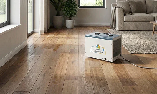 How Argendon Dehumidifiers Protect Your Wood Floors