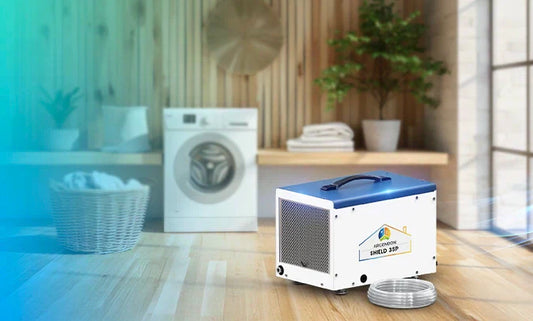 Combat Laundry Room Humidity with an Argendon Dehumidifier
