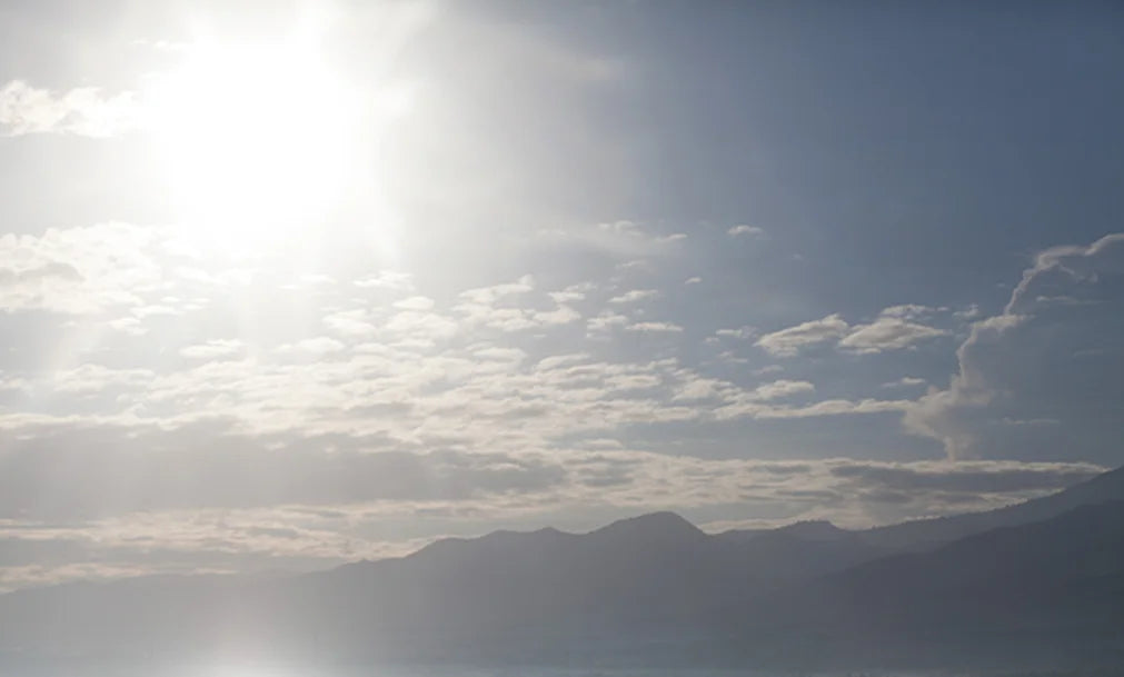 From Florida to California: Which States Have the Worst Summer Humidity (And What You Can Do About It)