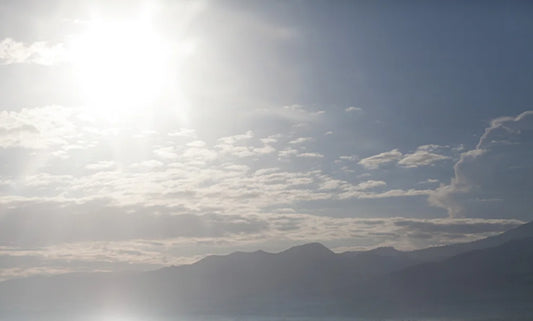 From Florida to California: Which States Have the Worst Summer Humidity (And What You Can Do About It)
