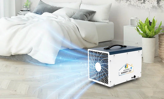 How to Dehumidify a Room and Stop Mold from Coming Back