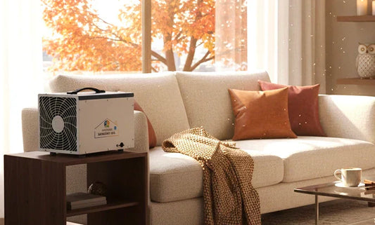 How to Maintain Healthy Indoor Humidity Levels During Autumn