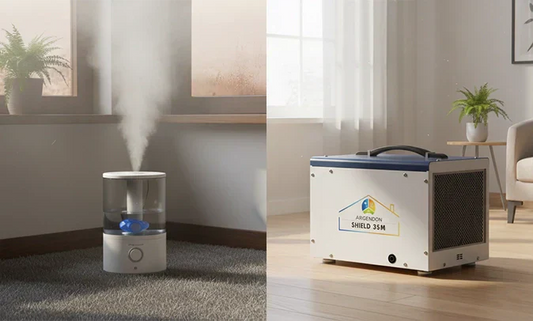 Humidifier or Dehumidifier for Allergies: Which One Is Better?