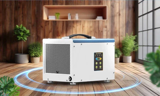 Home Sweet Home: Protecting Hardwood Floors, Furniture, and Walls with Argendon