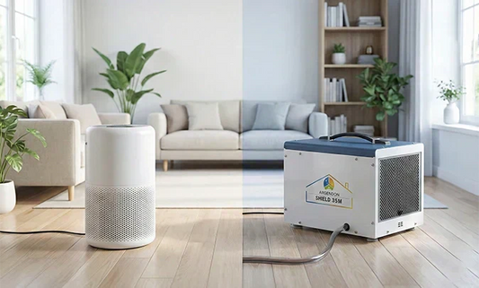 Which Is Better for Mold: an Air Purifier or a Dehumidifier?