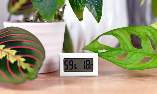 Why February is the Perfect Time to Plan a Humidity Management Upgrade
