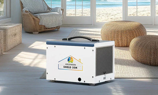 Why You Should Use a Dehumidifier This Summer for Effective Moisture Removal