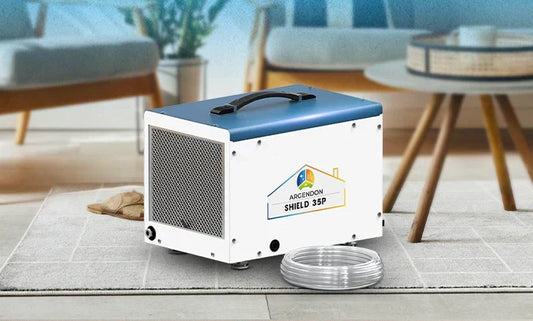 Why an Energy-Efficient Dehumidifier Is Worth the Investment