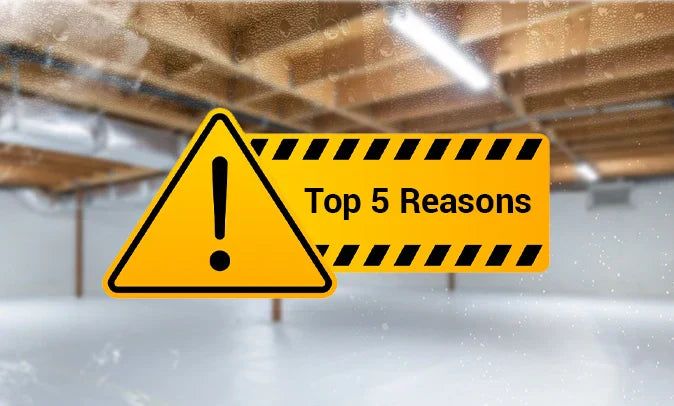 Why Is Your Crawl Space So Humid? Top 5 Reasons