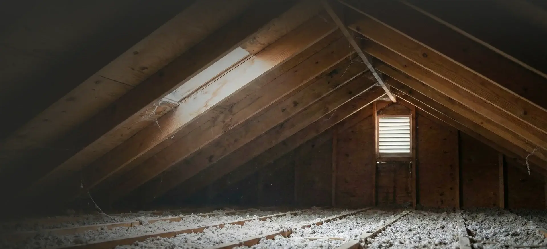 Attic Mold Removal? A Complete Guide