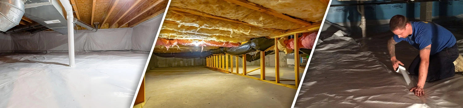 Basement & Crawl Space