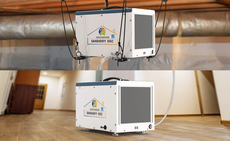 Dehumidifier for Basement with Pump & Drain Hose