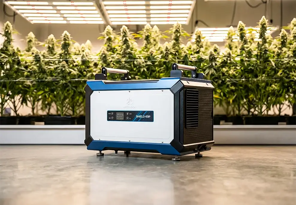 Keep Your Basement Dry and Quiet