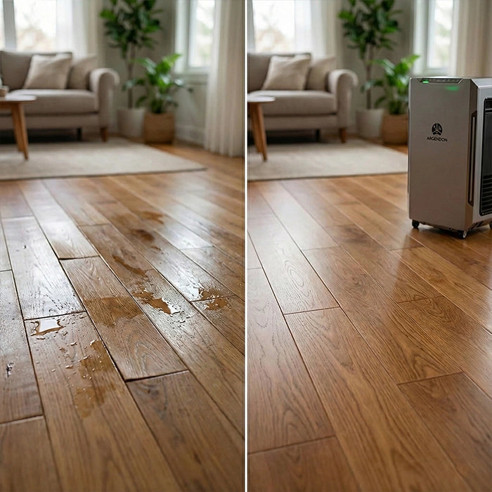 Protect Your Hardwood Floors
