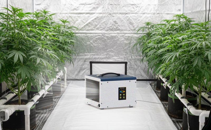 High-Performance Compressor Dehumidifier