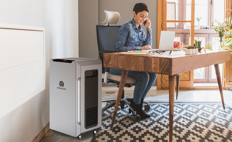 Quiet Office Dehumidifier