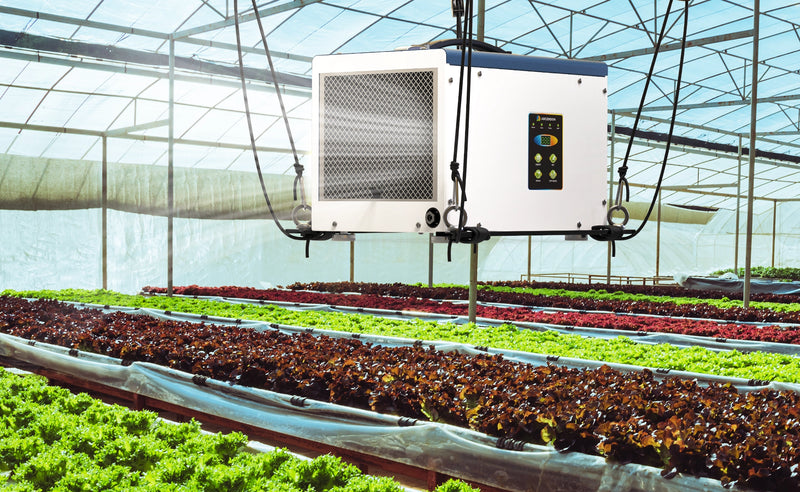 Hangable Dehumidifier Inside Grow Tent