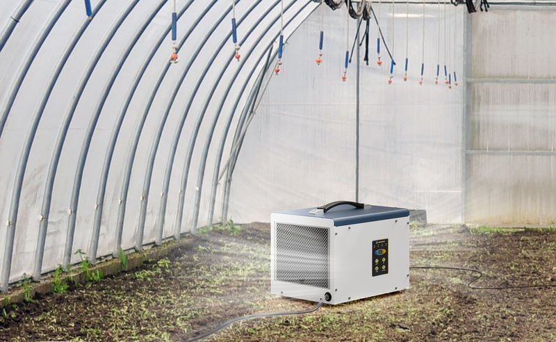 Multi-use Dehumidifier for Drying Room