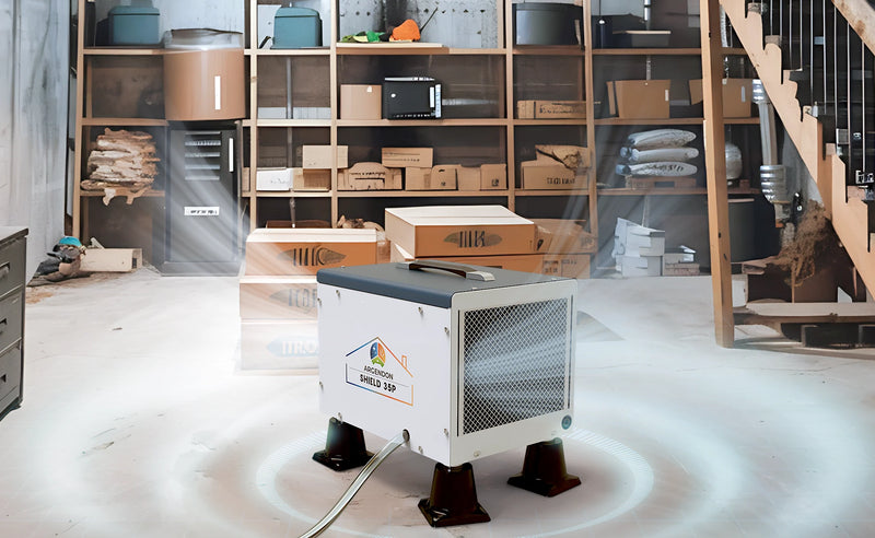 Large Capacity Dehumidifier for Basement