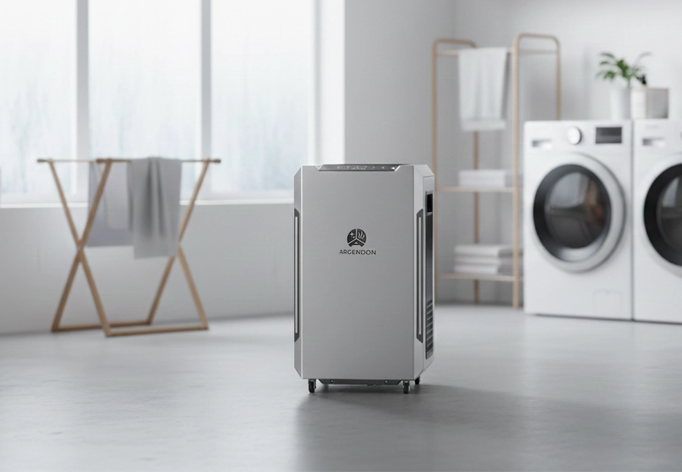 Stop Musty Smells & Damp Walls in Your Laundry Room