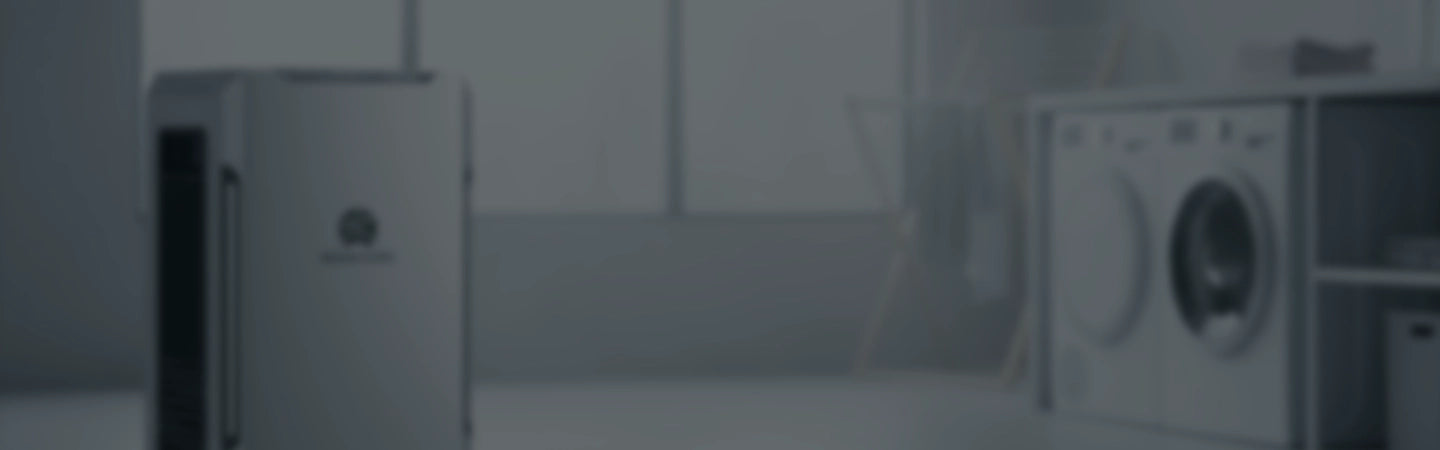 5 Reasons Why You Choose Argendon Laundry Room Dehumidifier