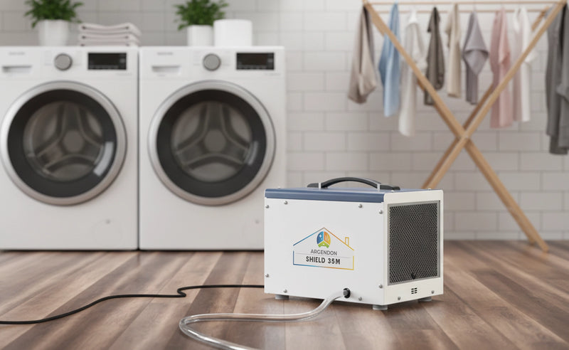 Prevent Musty Odors and Mold