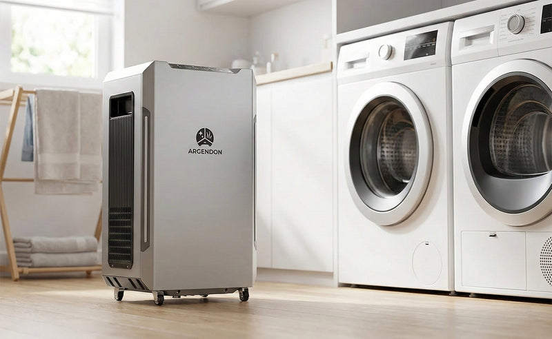 Protect Your Laundry Room and Appliances