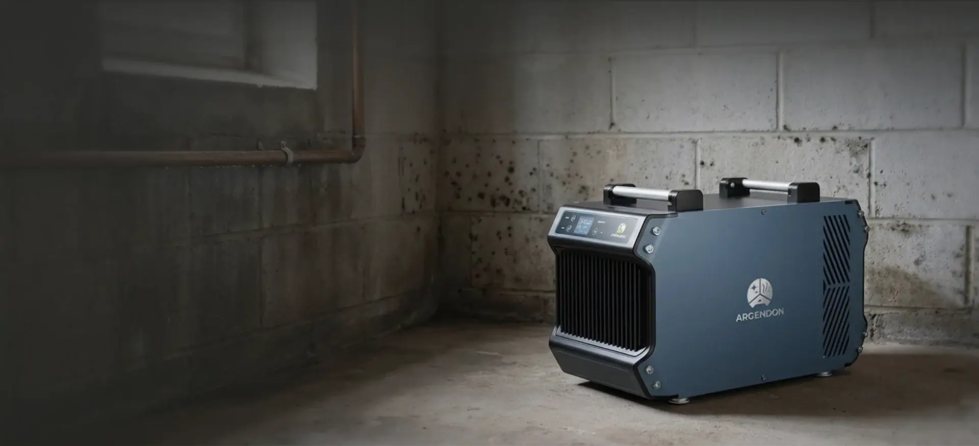 Dehumidifier for Mold: Will It Kill Mold?