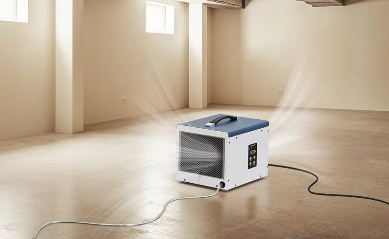 Effectively Dehumidify Your Under House